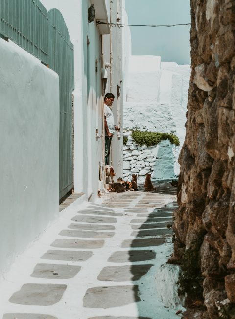 Mykonos, l'ile surprenante de Grèce. Embarquez pour un tour d'horizon dans les cyclades, vous menant de Chora, la ville blanche à l'intérieur de l'ile au milieu des champs - Kallisteha, Voyages et vérités